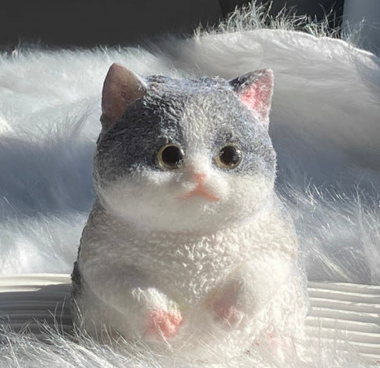 Cute Cat Squeeze Toy